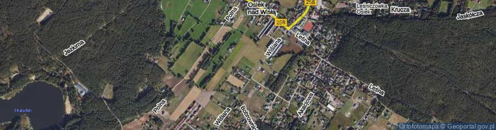 Zdjęcie satelitarne Irysowa ul.